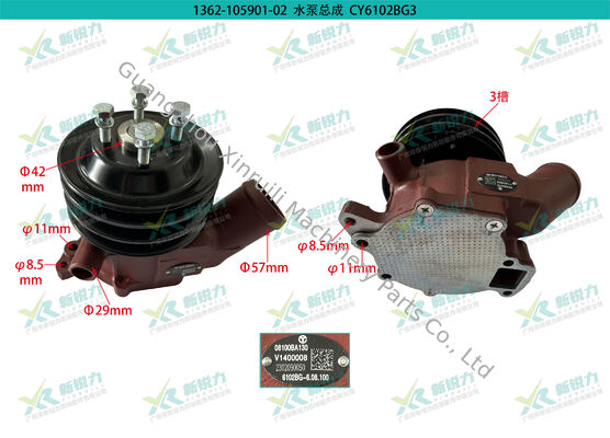 Dongfeng Chaoyang CY6102BG CY6102BG-E2 Water Pump | Company Product Code: 1362-105901-02 | OEM Part Number 6102G3.08.100 Fit Heli JAC Lonking Forklift